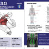 Piedra atlas