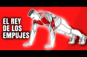 musculos flexiones