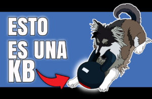 PERRO CON PESA RUSA