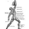 Manual ruso de kettlebells