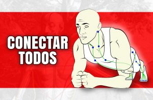 musculos planchas