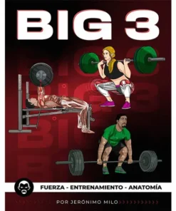 BIG 3 - Fuerza entrenamiento anatomía - Manual Digital [PDF]