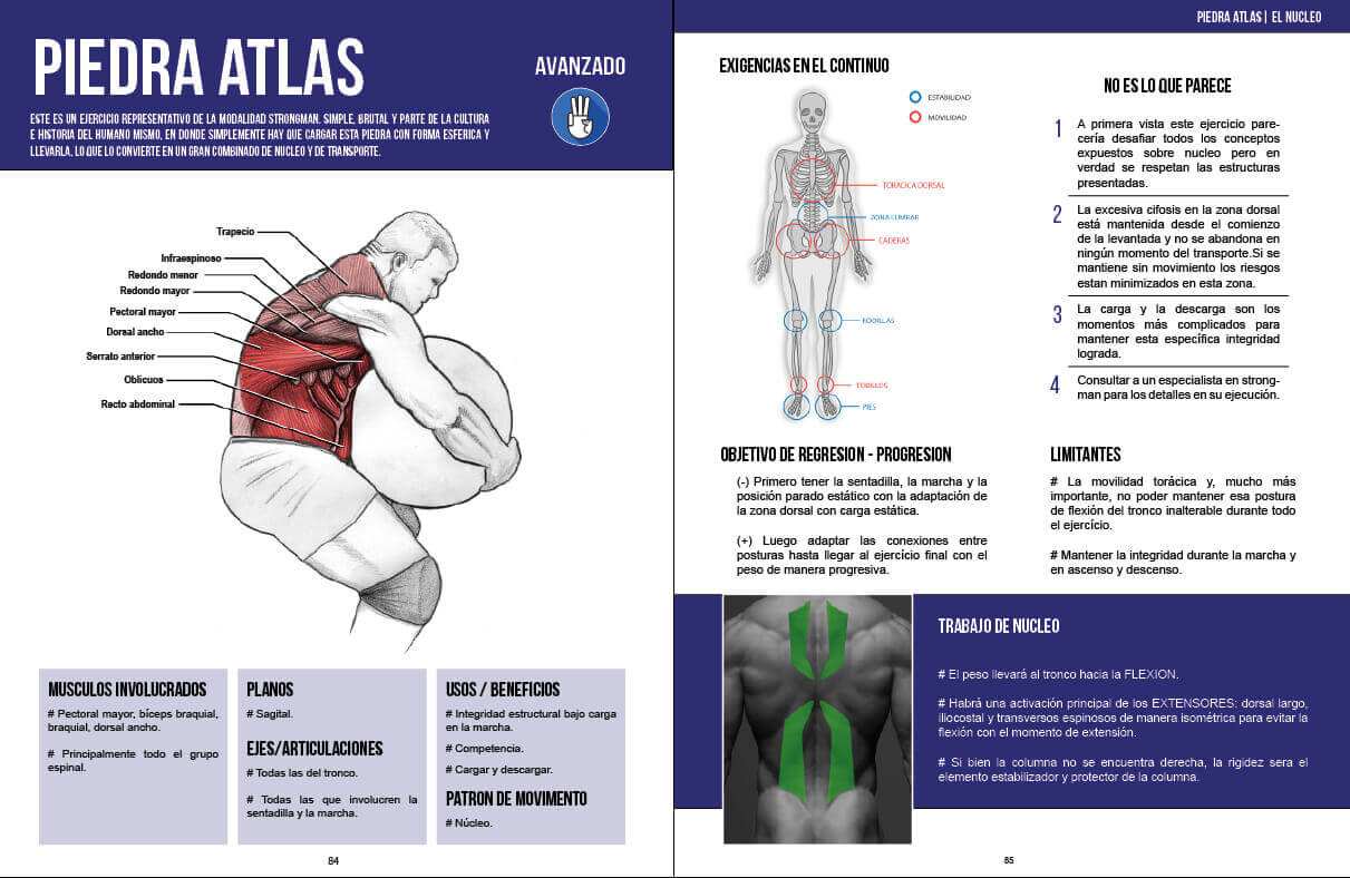PACK. Manual de Fuerza Anatomía y entrenamiento. Tomos 1,2,3. (Edición impresa). – ENVIO GRATIS - Imagen 8