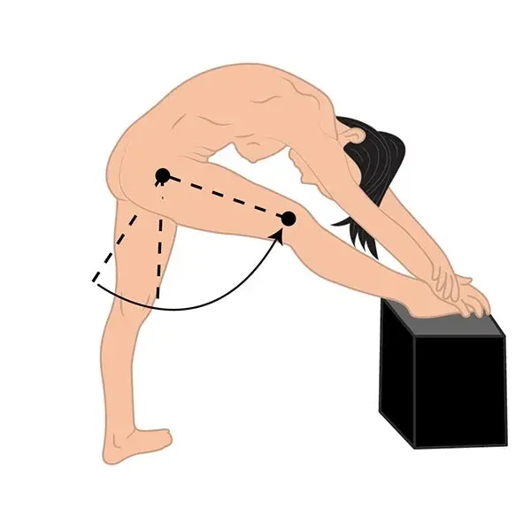 estirando isquisurales cajon