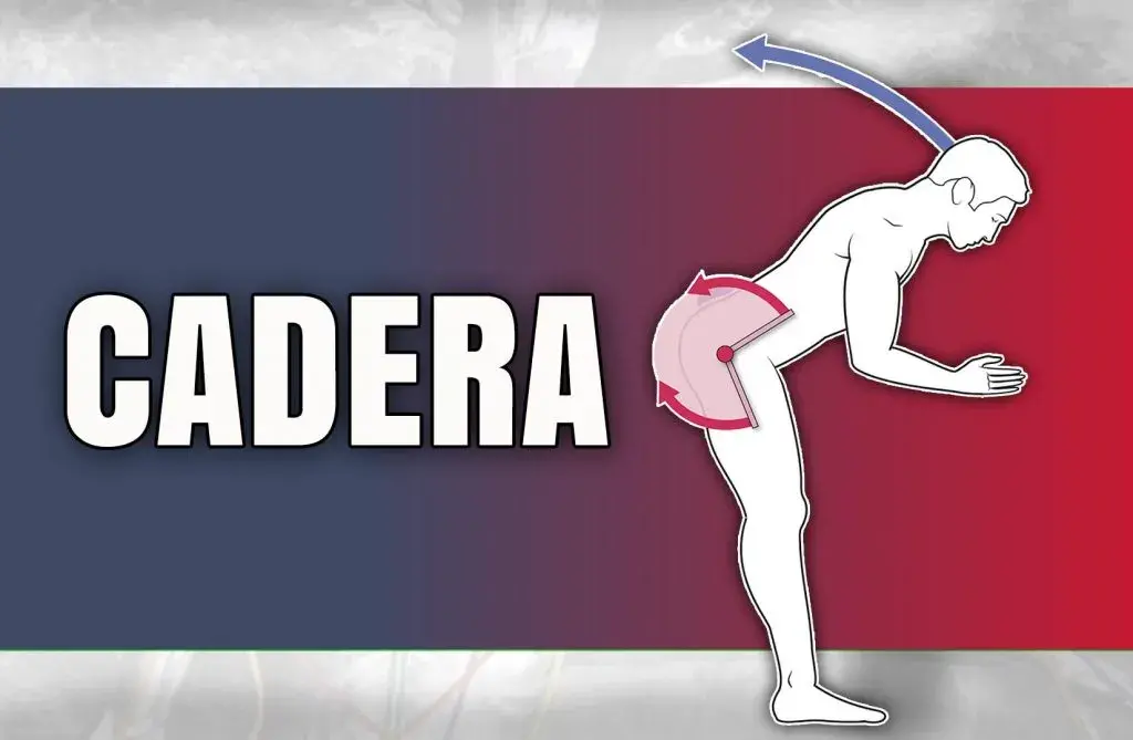 flexion de cadera