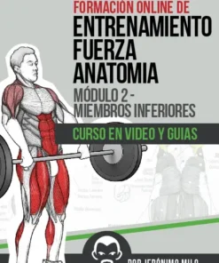 levantando peso fuerza entrenamiento